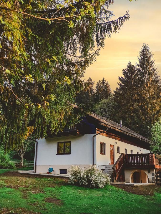 Ferienhaus Mooshuben Διαμέρισμα Mariazell Εξωτερικό φωτογραφία